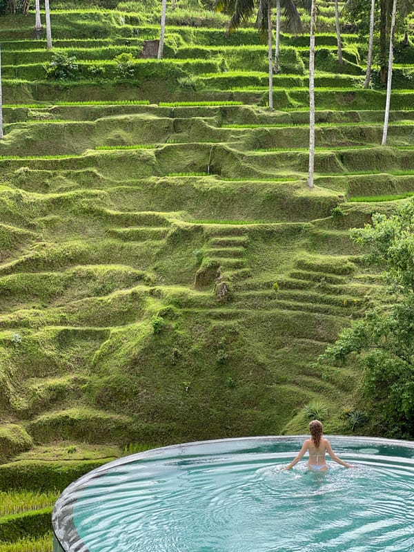 Tourists explore Bali rice terraces, infinity pools, civet coffee farms