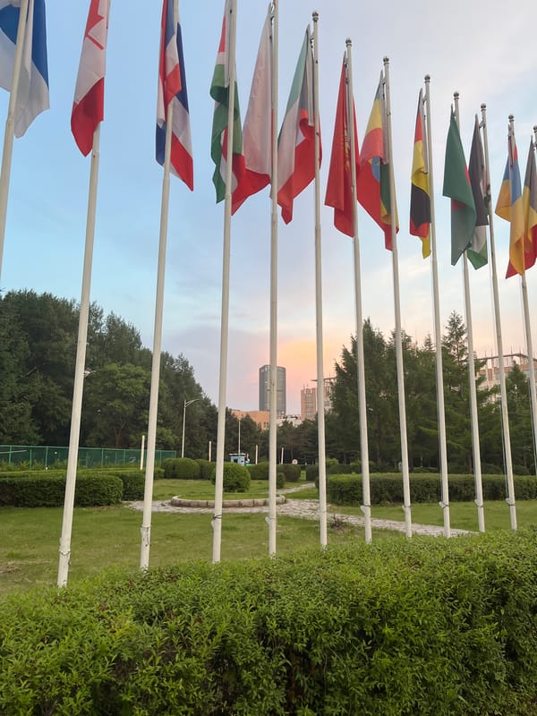 International flags displayed at government building in Changchun, China
