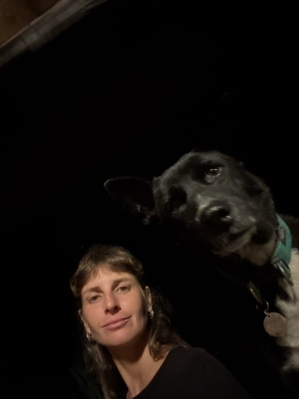 Dog plays with a bone at night alongside its owner