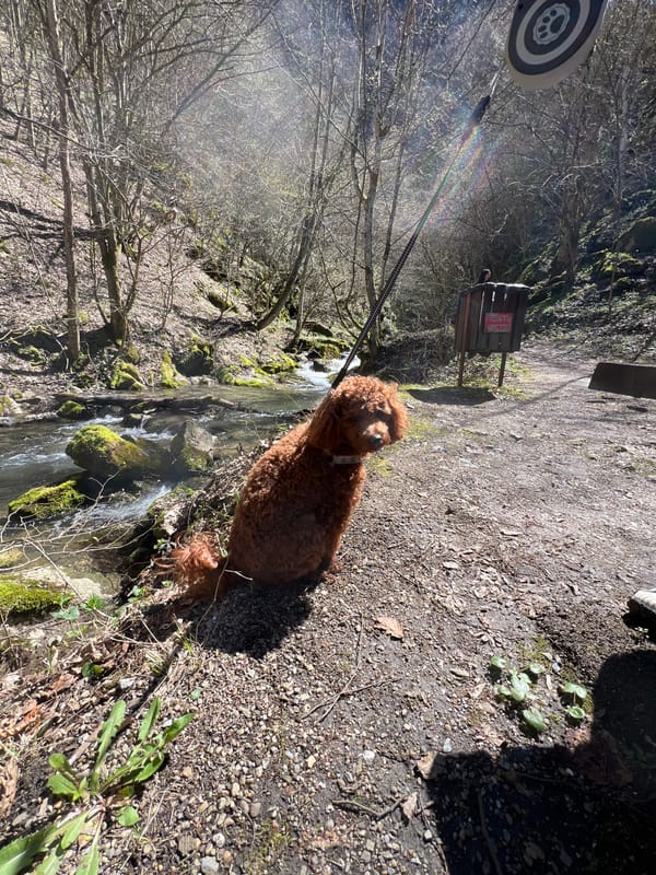 Spring morning visitors explore Teteven's forest streams and waterfalls