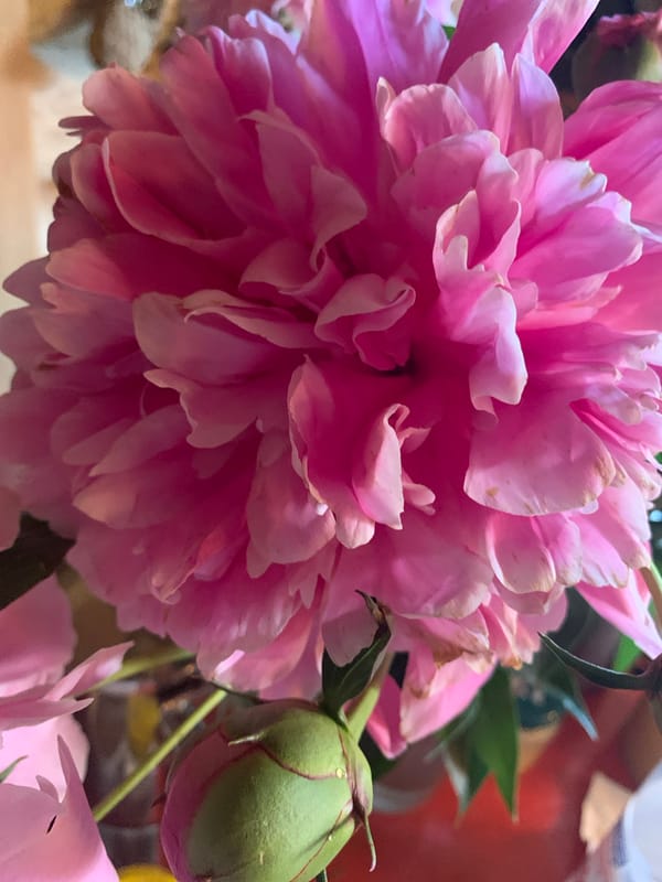 Garden flowers and traditional crafts in rural Russia