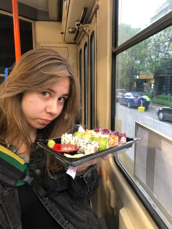 Woman's evening commute and grocery shopping documented in Sofia