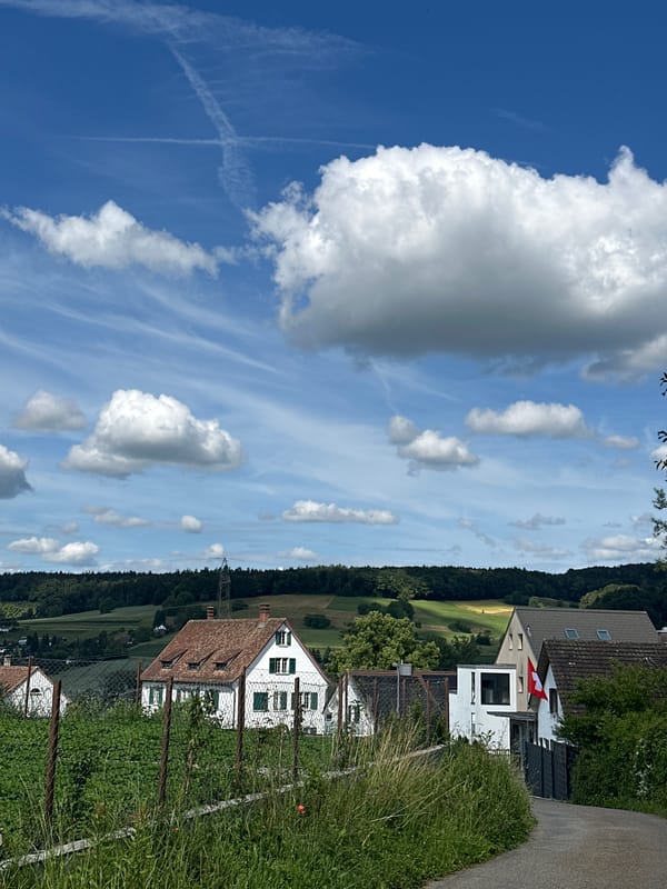 Rural Lufingen landscapes documented during afternoon walk