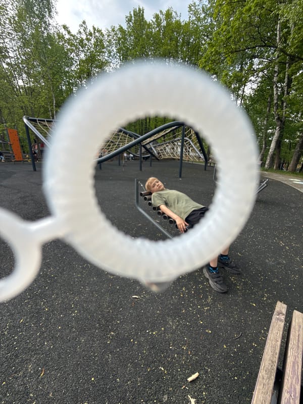 Afternoon park activities documented in Dmitrov, Russia