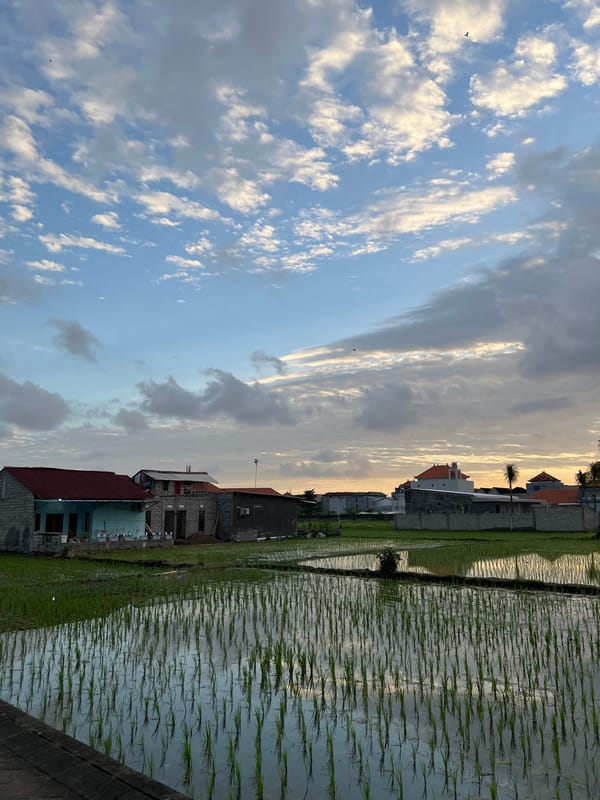 Rural Morning Scenes Documented in Mengwi, Indonesia