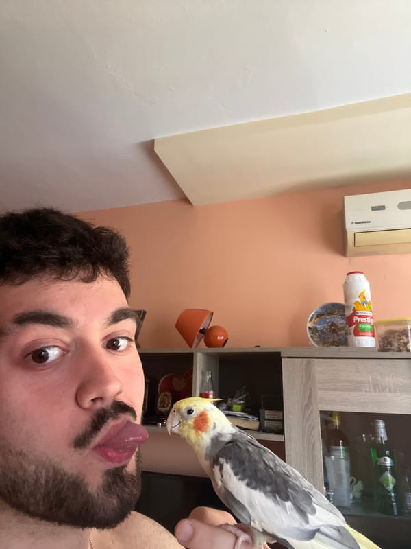Man plays with pet cockatiel in Bulgarian home