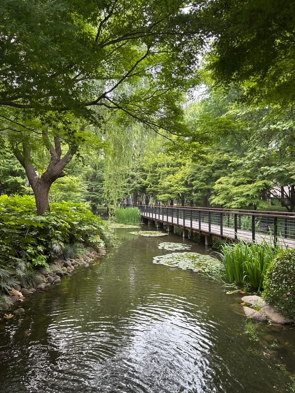 Morning walk through Shanghai captures ordinary city life