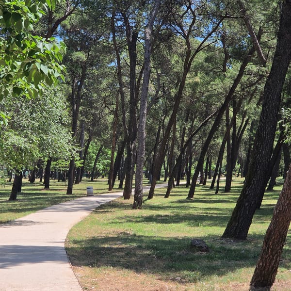 Sunny morning walk captured in Podgorica's Gorica Forest Park