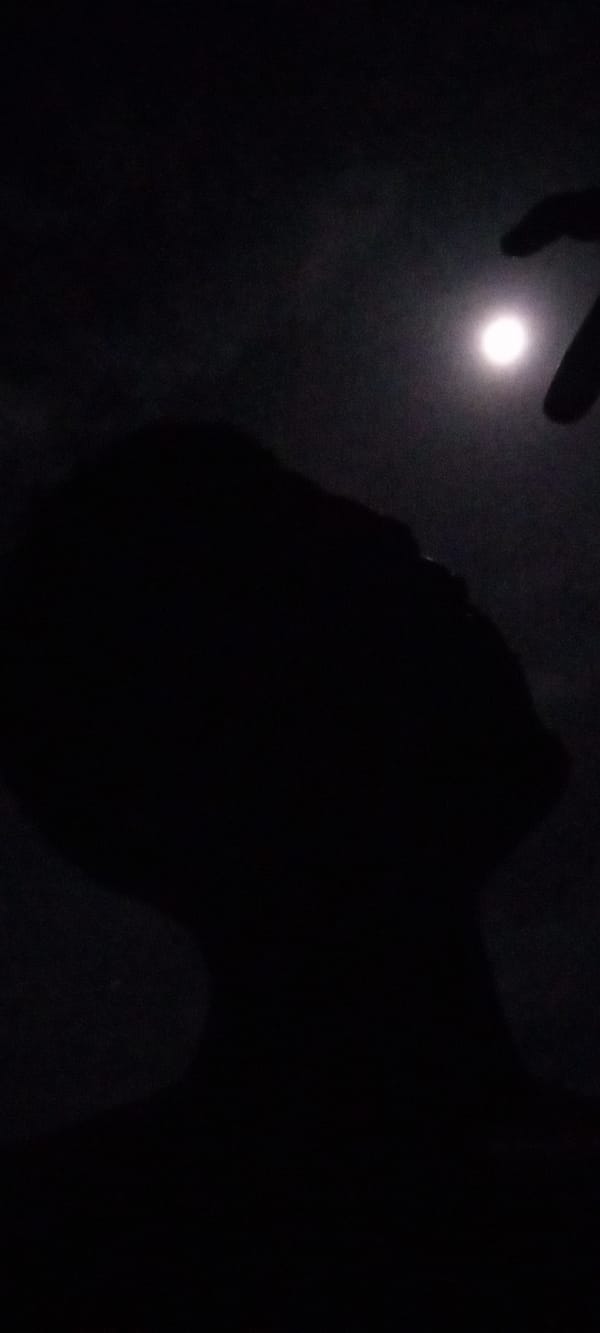 Nighttime silhouettes captured against bright celestial light source