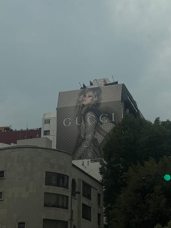 Luxury retail displays captured in Mexico City commercial district