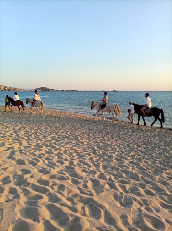 Sunny afternoon at a calm coastal beach, sunset included.