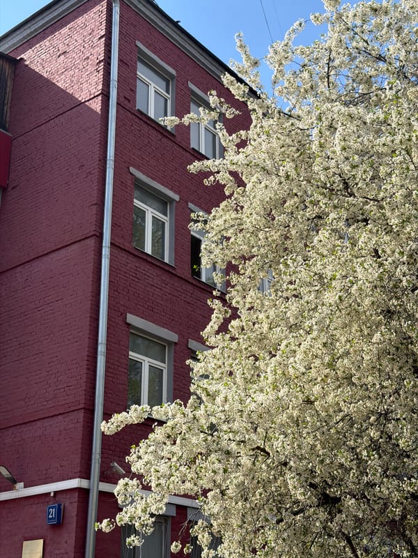 Spring blossoms and historic architecture captured in central Moscow