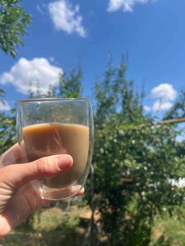 Beetles, pets, coffee, and sky on a quiet morning.