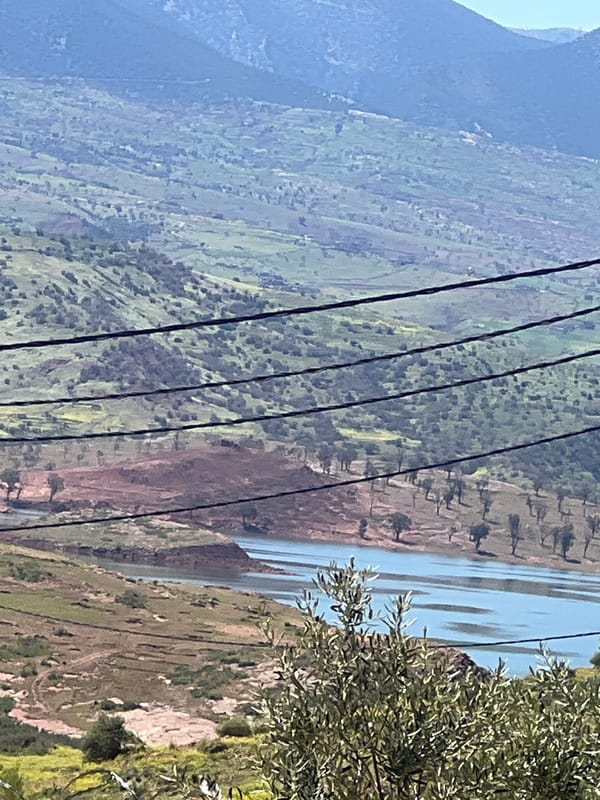 Rural gardens and terraced landscapes documented in Ouaouizert, Morocco