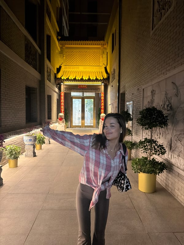 Woman spotted in traditional Beijing alleyway, Dongcheng District