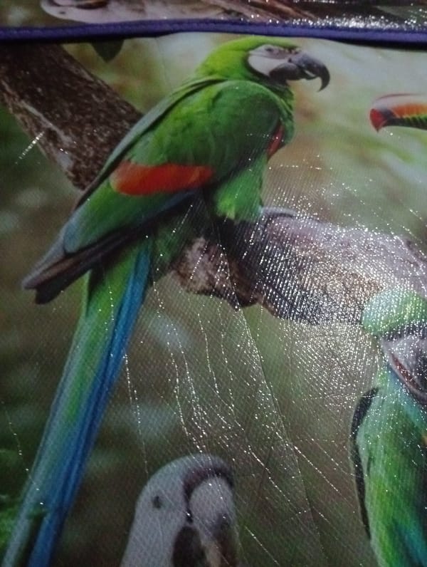 Tropical bird fabric design spotted in Indonesian village