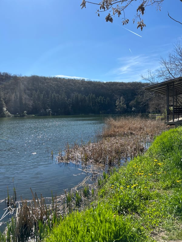 Lake scene with vegetation documented in Pleven, Bulgaria