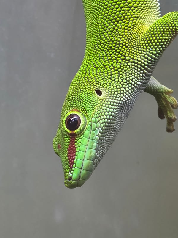 Visitor documents wildlife at Tijuana aquarium facility
