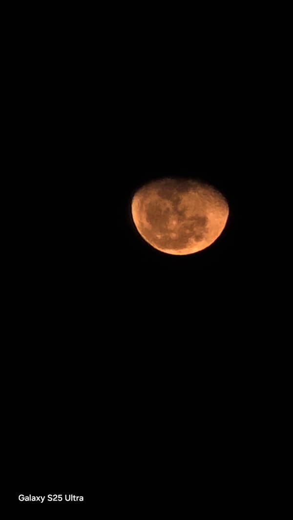 Orange moon sighted through trees at Vietnam heritage area