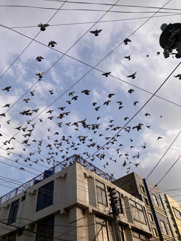 Street life unfolds in Quetta: shoe shiners, pigeons, security