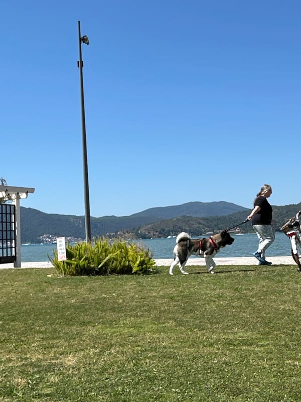 Woman walks dogs along Fethiye waterfront near Turkish boat