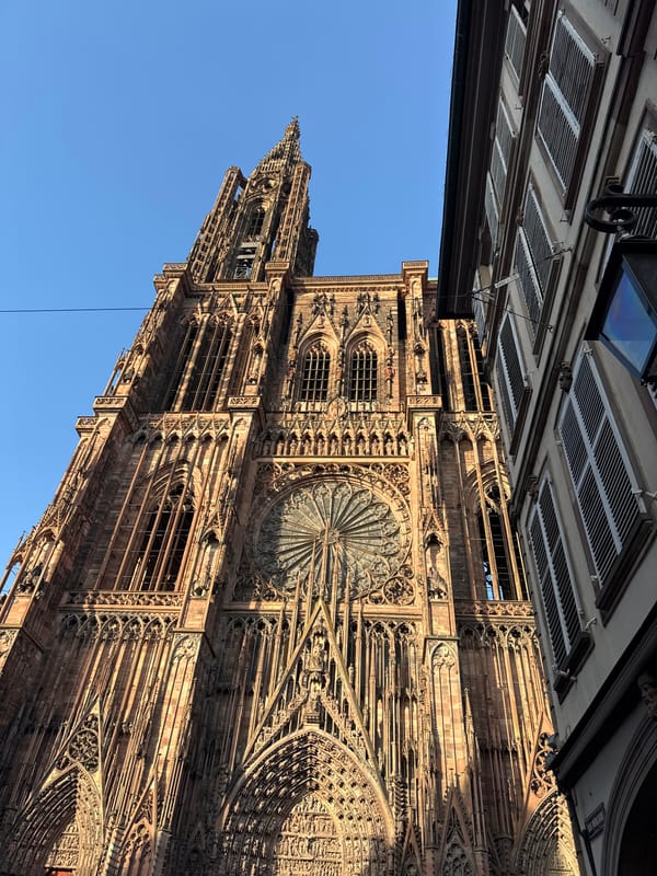 Bishop greets crowds at Strasbourg Cathedral entrance