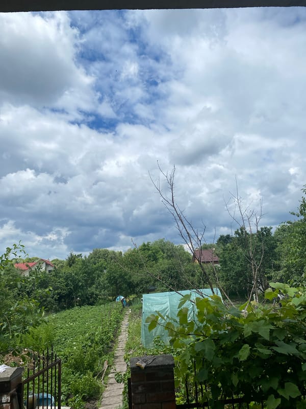 Morning garden tour documented in rural Murovane, Ukraine