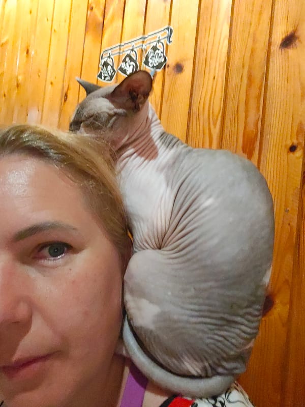 Woman, Sphynx cat share meal time in Pyatigorsk home