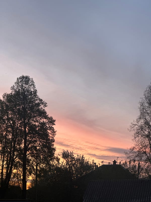Sunset observed with pink-orange sky in Osa, Russia