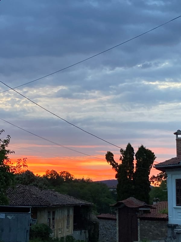 Evening scenes captured in Mindia: sunset views and dogs walking
