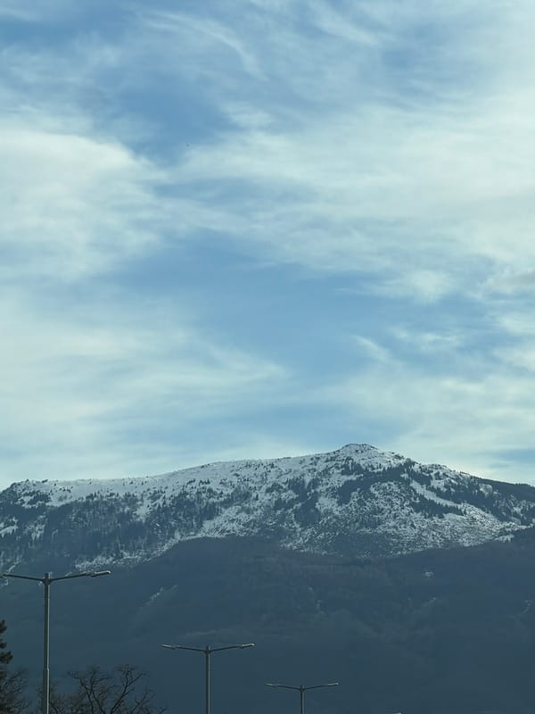 Lunch outing documented in Sofia with mountain views