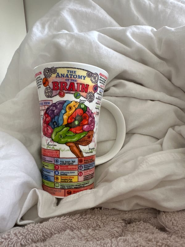 Brain anatomy mug spotted on bedding in Tunbridge Wells