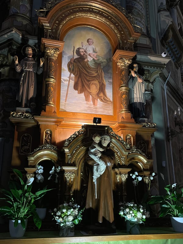 Inside Timișoara's historic churches and synagogue