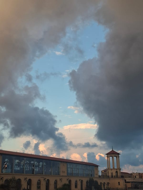 Sochi sea port at dusk: grand architecture, yachts, and a wet cat