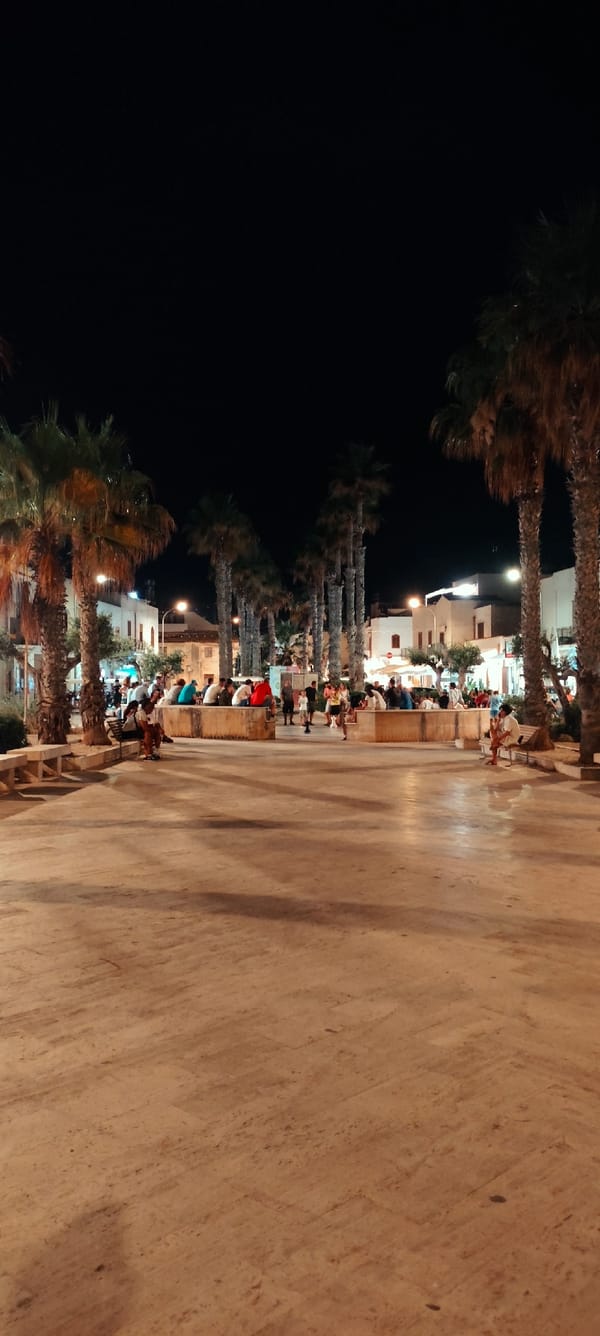 Night streets of San Vito Lo Capo, cat included