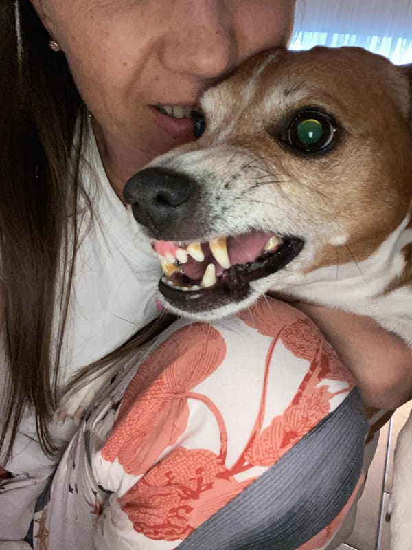 Person plays with dog, shows keychains in Chaikovsky home