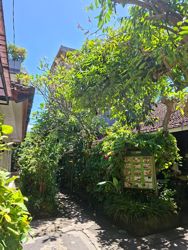 Tourist captures traditional Balinese temple complex scenes in Ubud