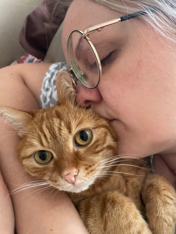 Everyday moments with pets and home life captured in Vologda