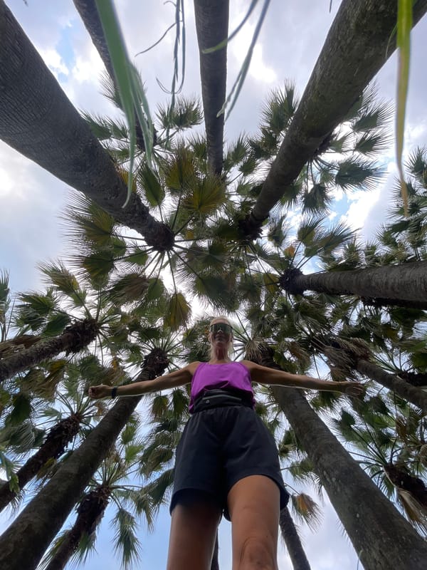 Outdoor workout and selfies in a Sochi palm park