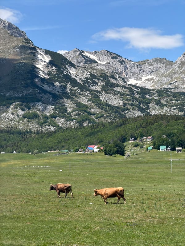 Clear morning views captured around Žabljak's mountain landscapes