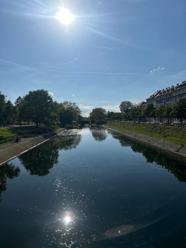 Sunny canal reflections documented in Strasbourg, France