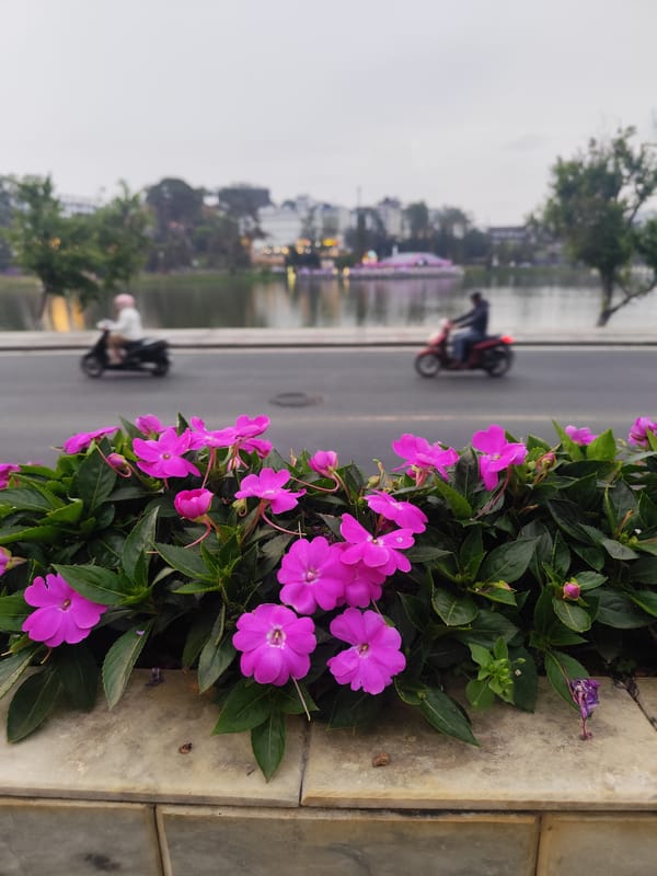 Colorful flowers line waterside street in Da Lat Vietnam