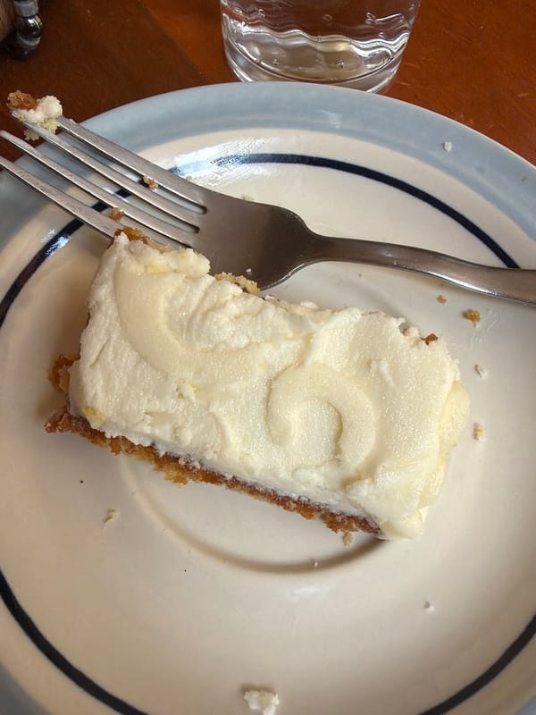 Person enjoys slice of cake during evening meal
