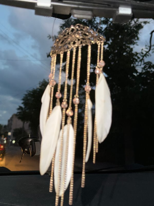 Dusk in Stryi: car interior details and a quiet street