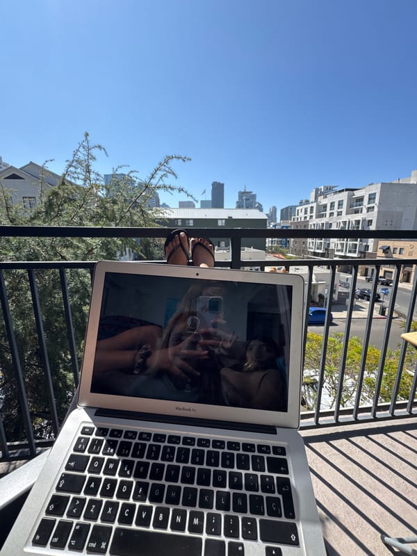 Dachshund spotted in multiple San Diego residential settings