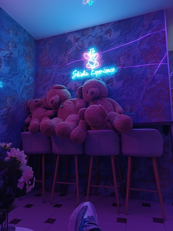 Young man takes selfie in Bulgarian shisha lounge