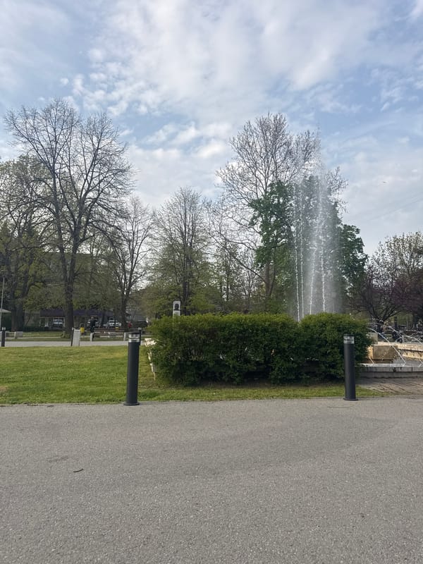Child plays, pigeon walks in Montana Bulgaria park