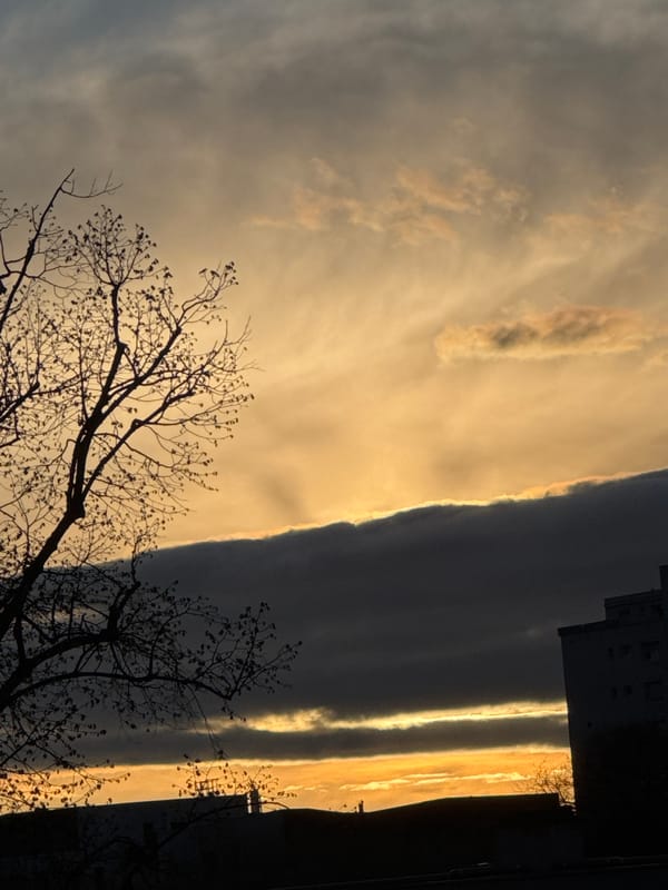 Dramatic golden sunset captured across Strasbourg skyline