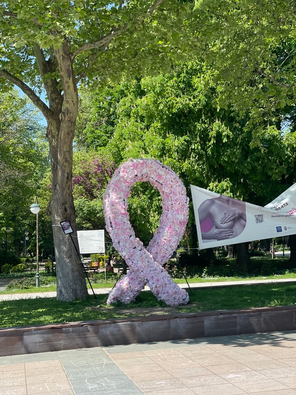 Morning life documented across Plovdiv's historic center and commercial areas