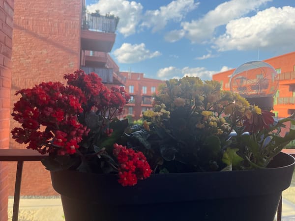 Summer balcony view: flowers and open sky in Hanover